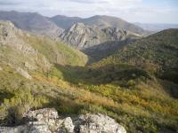 Bosque de Las Hadas
