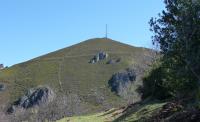 La Mirandiella