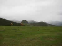 Campa de la Bota
