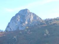 Gorrión