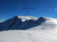 Cogollo de Cebolledo